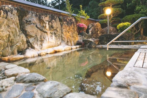 Okuise Forestpia Miyagawasanso(奥伊勢フォレストピア 宮川山荘)_4