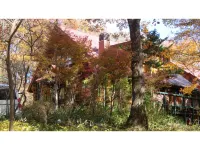 Log Pension Pepe Rosso - 2-Star