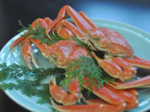 Kinpeirou Kyōtango otelleri