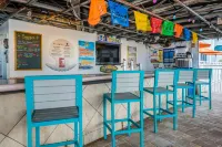 Dolphin Sands Clearwater Beach, Ascend Hotel Collection - bar