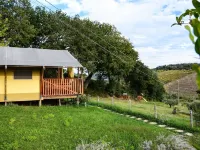 Luxury tent on a farm with swimming pool