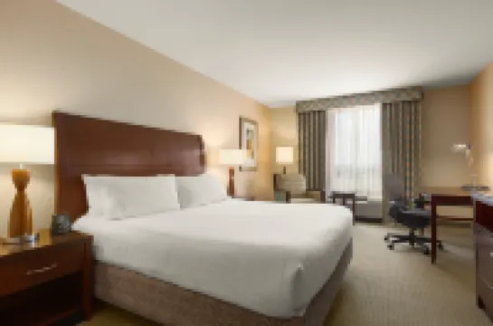 Hilton Garden Inn Dulles North Hotels in Ashburn