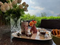 Apartment Agnese with lake view, swimming pool, garage and private garden. - appartements de vacances