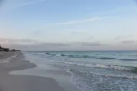 Beachfront 2/1 - Newly Remodeled Right on the Beach.  Amazing Sunsets - D - 비치