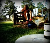 Tanglewood Farm -Horse & Hound Suite 1 Br/2BA Private Apt on Horse Farm