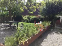 Le Mont de la Louve - Le Tiot Décalé