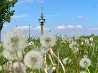 Eifelauszeit - Auszeit ist Eifelzeit / bis zu 8 Personen + Kind + Vierbeiner