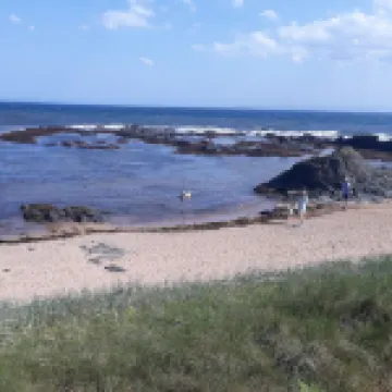 In the heart of the East Neuk, with fabulous sea view and close to great golf.