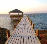 Oceanfront, Ocean Club F101, Linens included, 3Br 2ba, pool