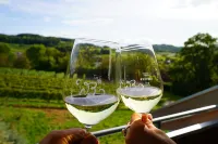 Vacation at the winery