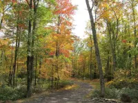 PERFECT ESCAPE For Total Privacy, Rustic Modern Cabin, 15 Pvt. Ac, WiFi, Heat/AC