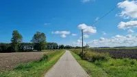 Swallow's nest in the middle of the countryside