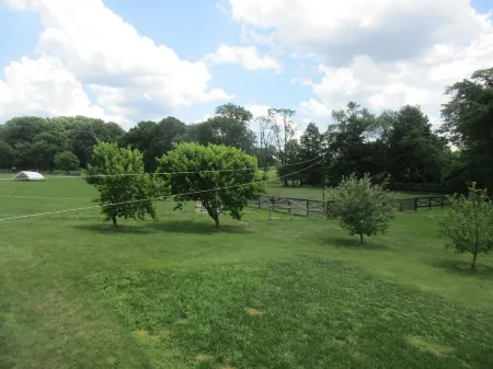 Black Horse  - FarmGuest House A Travelers Rest and a Vacationers Haven