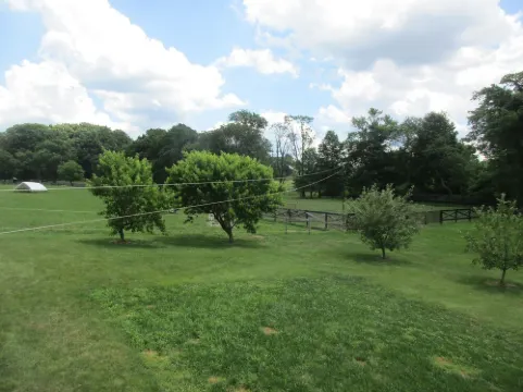 Black Horse  - FarmGuest House A Travelers Rest and a Vacationers Haven