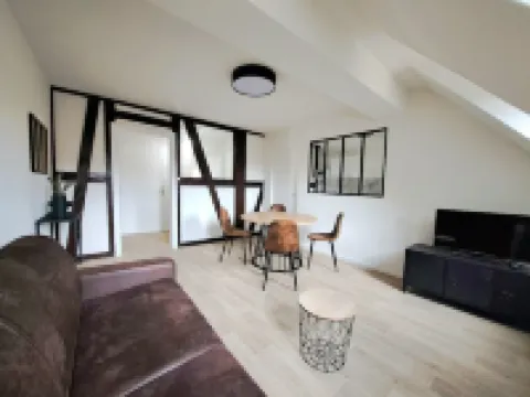 Apartment Historic Center Colmar with free private parking