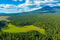 Serene Historic Cottage: Mountain Views, Hot Tub, Fire Pit, Fireplace, Snowbowl