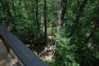 Al's Nest: Secluded Treehouse Overlooking Creek