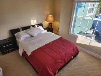 Waterfront Indian Rocks Beach Gem-5 min walk to beach, private Pool/ hot tub/gym