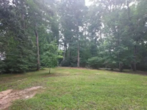 Little Cabin in the Woods