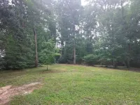 Little Cabin in the Woods