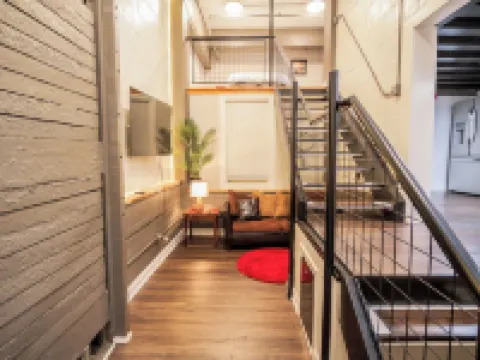 Nest - The Urban Treehouse