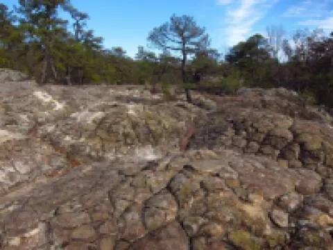 Bring Your Family To Enjoy Our Family's Peace Of Petit Jean!