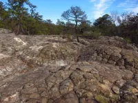 Bring Your Family To Enjoy Our Family's Peace Of Petit Jean!