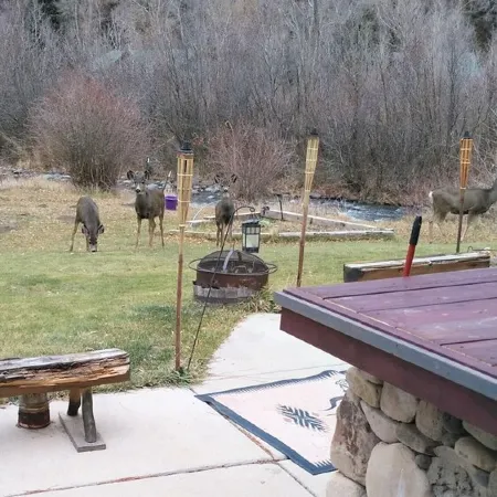 Ranch House on the River