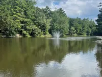 Tranquil Lakeside Waterfall Retreat-Summer is Upon us! Hotéis em Flat Rock