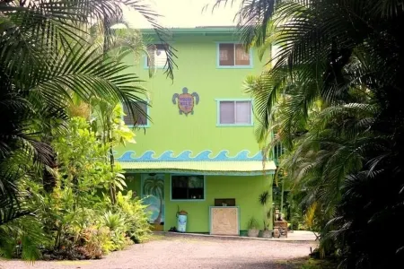 Paradise On a Budget! Отели в г. Хавайиан-Парадайс-Парк