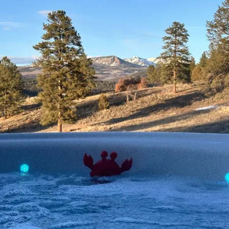 Lux Hot Tub Cabin. Huge Views! 35 Acres! Stargazing/Hiking Retreat! No Pet Fees!