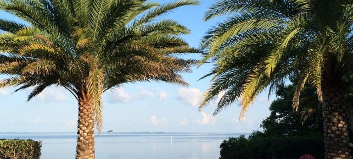 "Private Pool Oasis • 3-MinWalk to Crystal Beach •Tropical Escape" Hotels in Palm Harbor