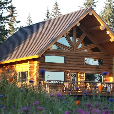 Unique Alaskan log home in trees & wild flowers on 14-acre private homestead.
