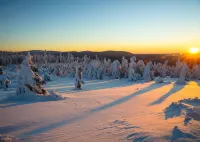 Log Cabins with Sauna, Fireplace, Terrace, Barbecue Etc. in Alpine Chalet Style