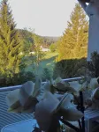 Haven of peace in a healthy climate with champagne air