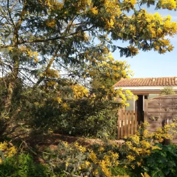 Cottage Les Roses de mer