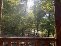 Peaceful, Secluded Cabin near Beaver Lake