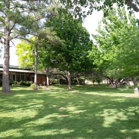 Inks Lake Open Water and Pet friendly home