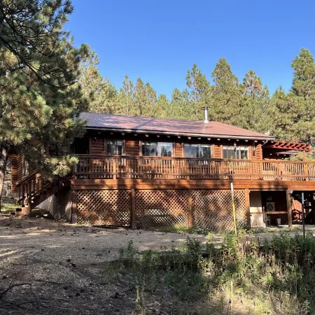 Cozy cabin in the woods. 12 min from the Angel Fire ski resort; 6 to golf course