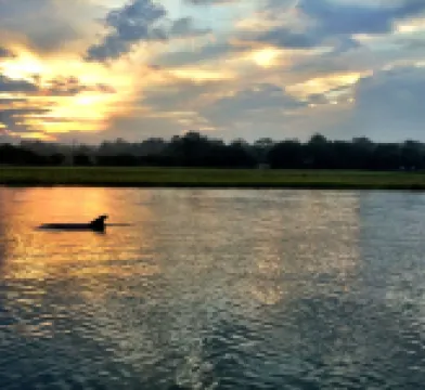 Unique Zen Tiny House 2 mi to Beach ~ Free Bikes! Minutes to Historic Charleston マウント・プレザントのホテル