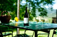 Agriturismo Marchesi Gondi - Casavecchia