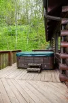 Well-appointed cabin with expansive mountain views, nature and tranquility.