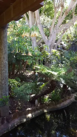 Beachfront Condo Within a tropical paradise