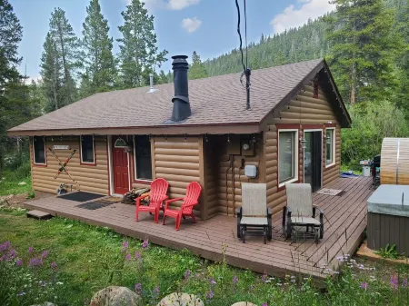 Quaint Dog Friendly Cabin with private sauna and hot tub 7 minutes from Breck