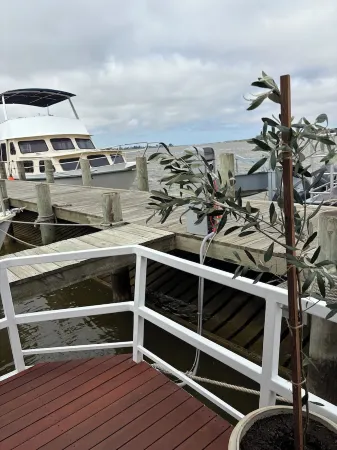 Piccolina Floating Accomodation Отели в г. Гулва