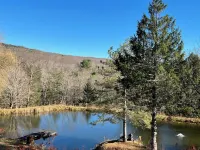 Stylish, Luxury Mountain House 10 Mins to Windham