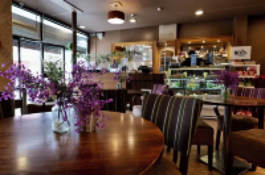 海豚SA1酒店 斯旺西酒店