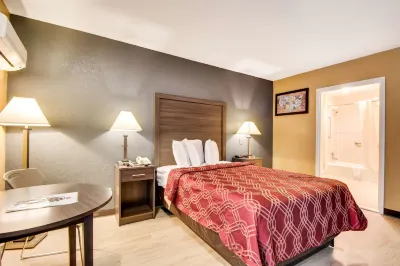 Econo Lodge Busch Gardens Hotels in Temple Terrace