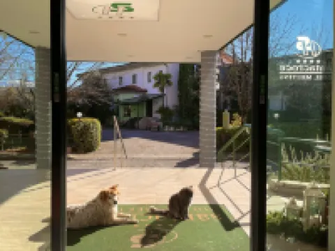 Hotel Santacroce Meeting