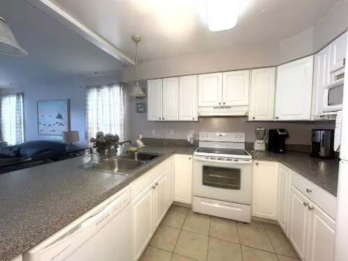 Wilmington Terrace - pet friendly